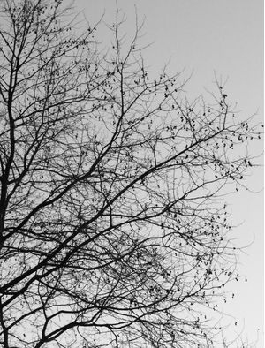 OLD GREEN