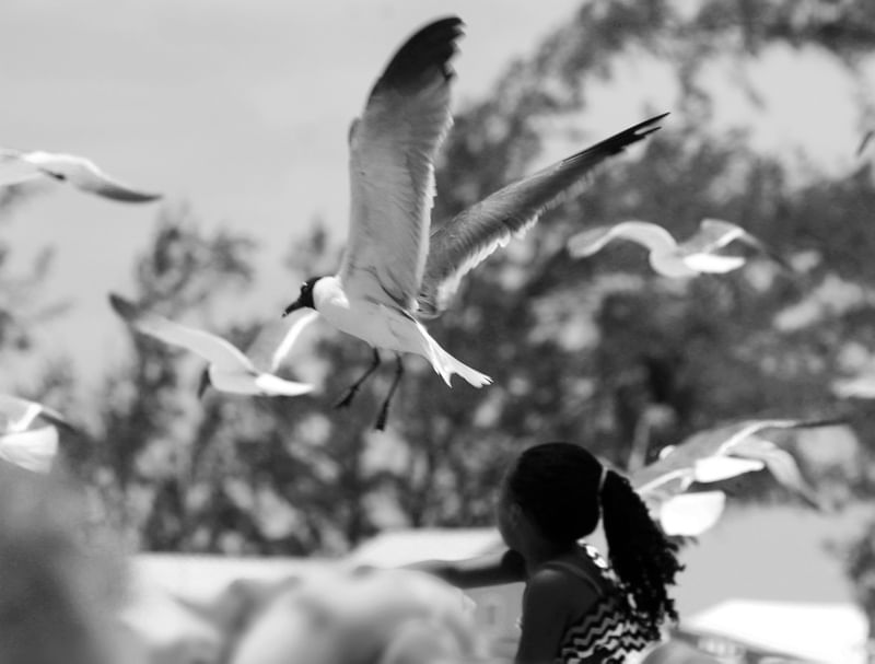 GIRL AND BIRD
