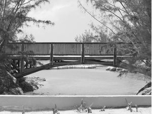 WOOD BRIDGE