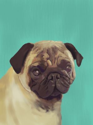 RETRATO PUG