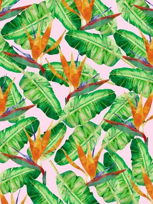 CONJUNTO TROPICAL X
