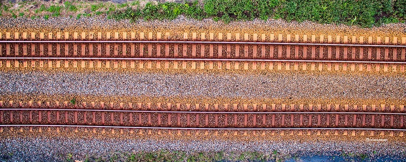 LINE IN ZOON
