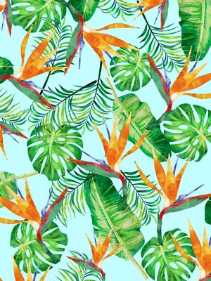 CONJUNTO TROPICAL XI