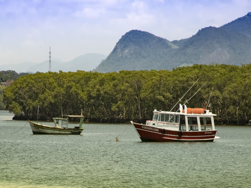 DOIS BARQUINHOS NA LAGOA