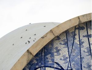 PASSARINHOS DE SÃO FRANCISCO DE ASSIS