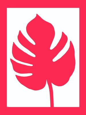 COSTELA DE ADÃO - ROSA
