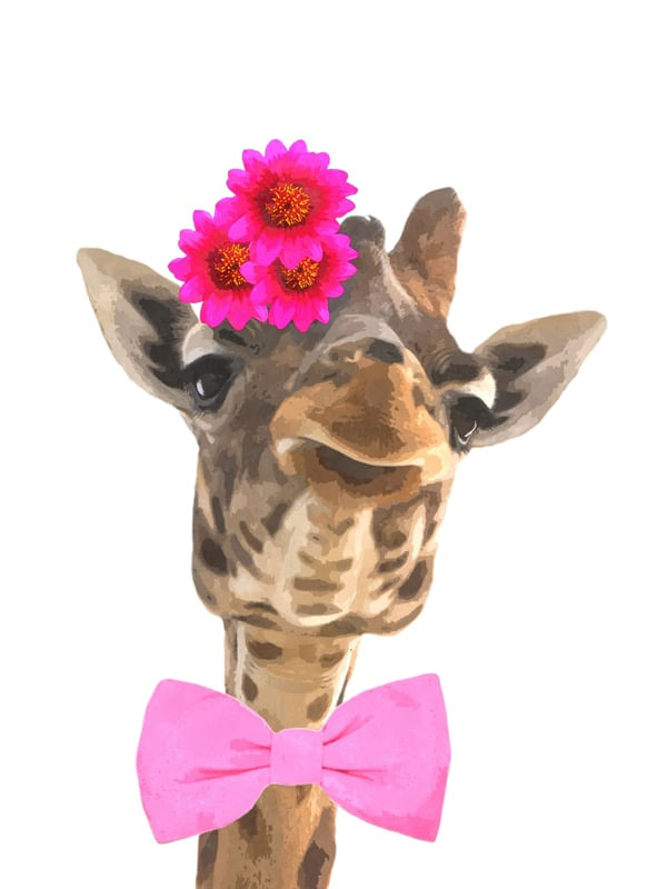 GIRAFA VAIDOSA