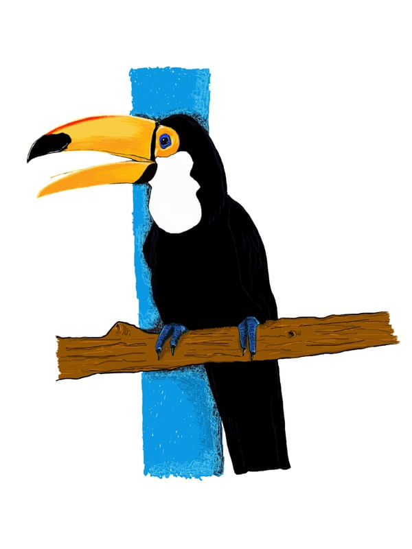 TUCANO FELIZ