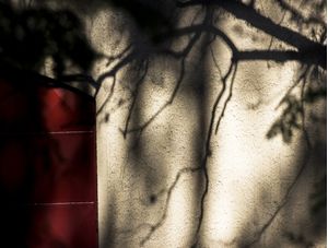 RED DOOR 2015