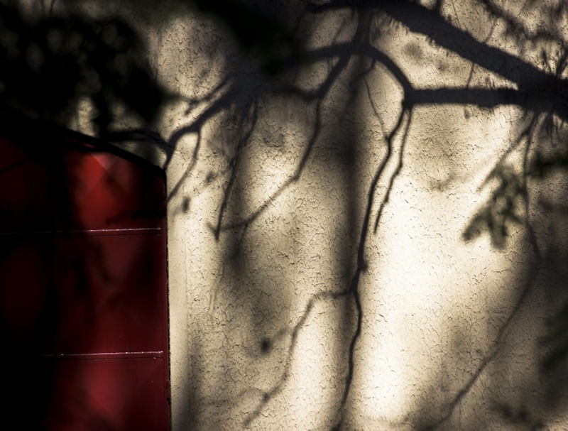 RED DOOR 2015