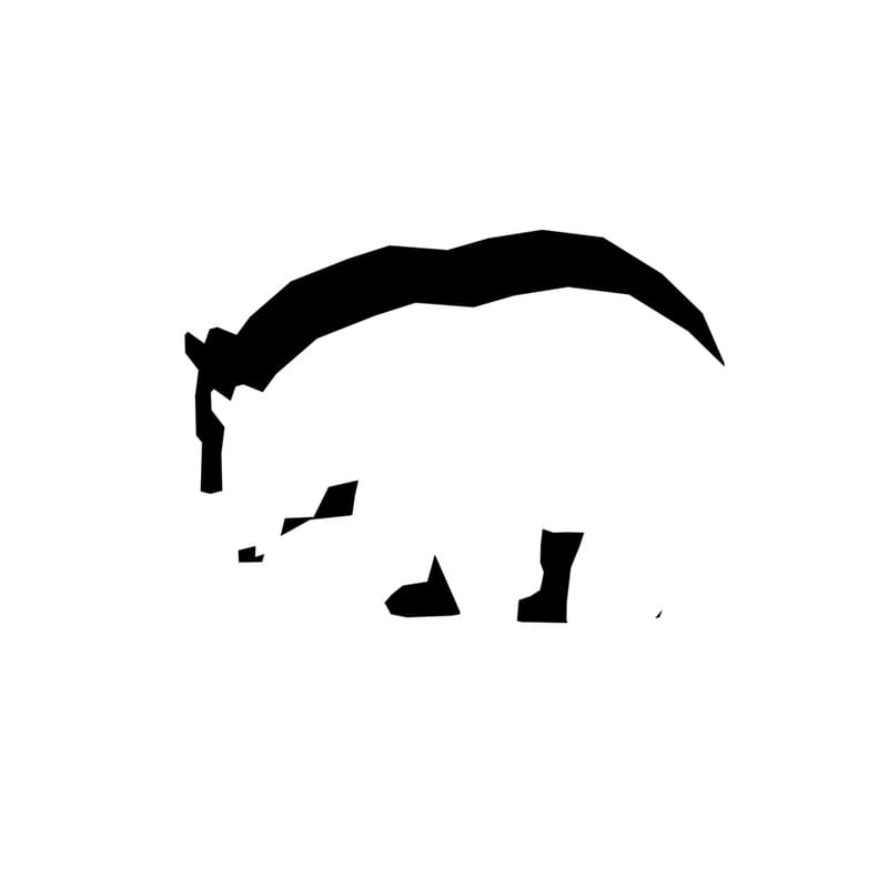 BEAR MINIMAL