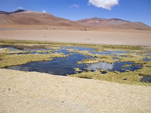 REFLEXO CHILE
