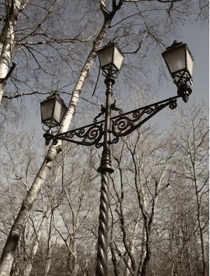 BUDAPESTE - ÁRVORE VI
