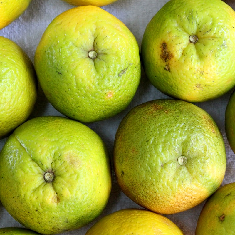 LARANJAS 1 LB