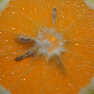 LARANJA 2 LB