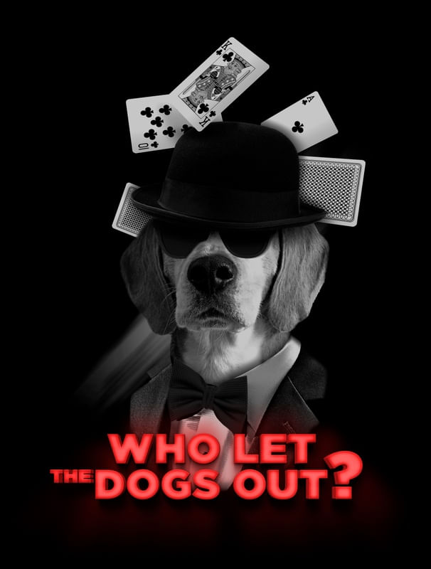 HEY BUDDY, WHO LET THE DOGS OUT?