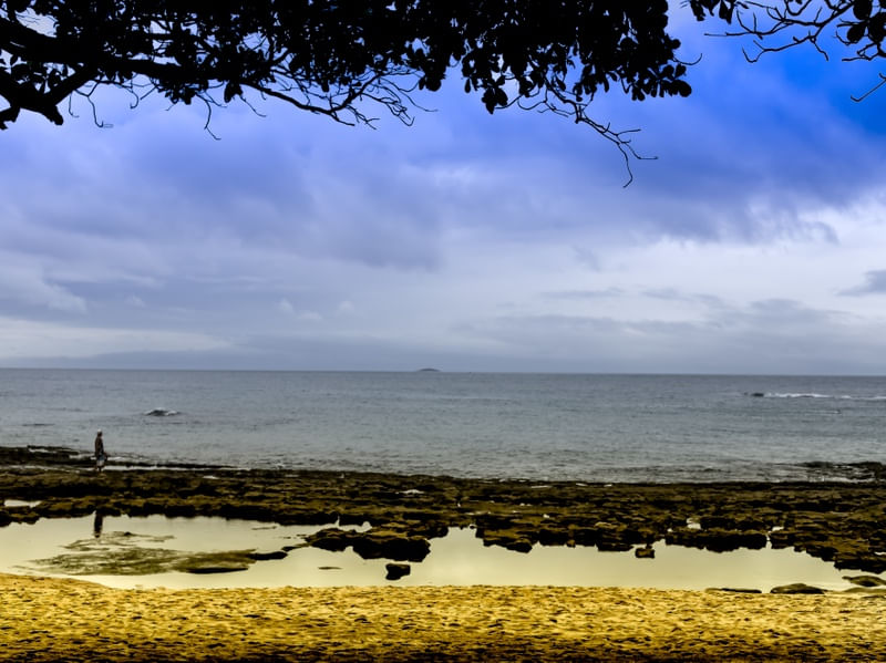 SONHO DE GUARAPARI