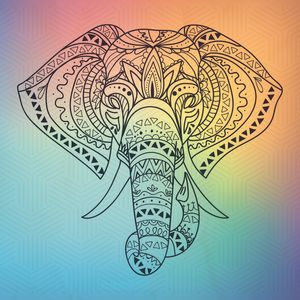ELEFANTE TEXTURA ARCO-ÍRIS