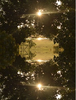 CALEIDOSCOPIA: NASCIMENTO DO SOL
