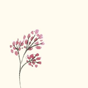 FLOR SÓ