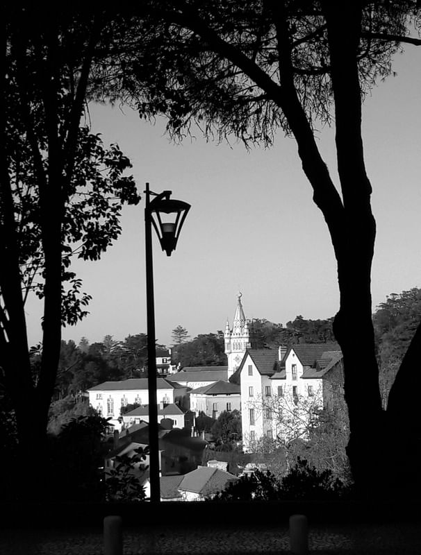 JANELA PARADISO