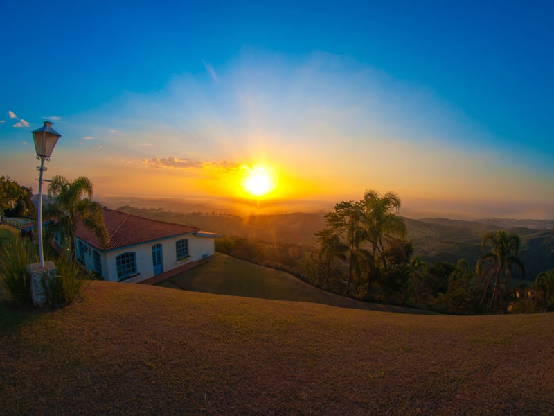 NEW DAWN