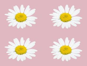 QUARTETO FLORAL