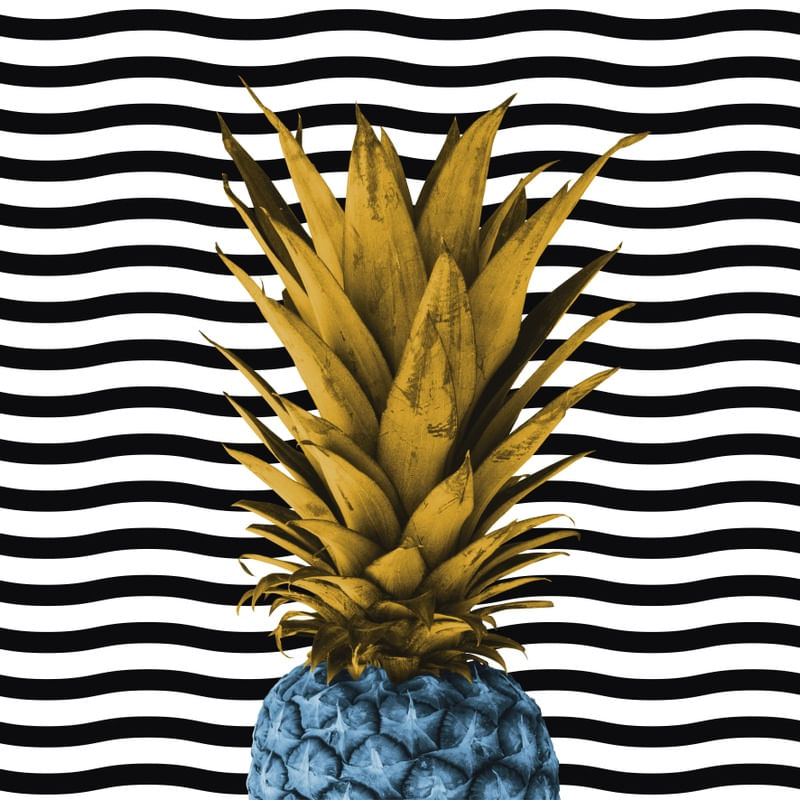 ABACAXI PINEAPPLE