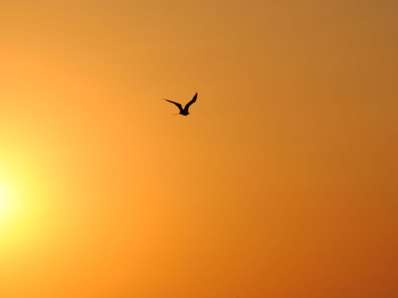 ENTARDECER EM BÚZIOS