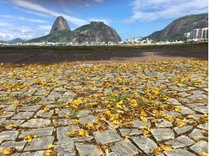 ATERRO DO FLAMENGO