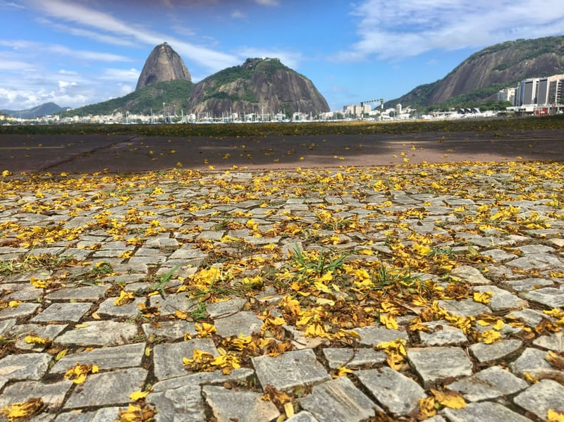 ATERRO DO FLAMENGO
