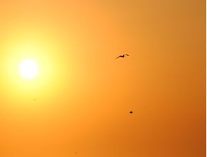 PÔR DO SOL EM BÚZIOS