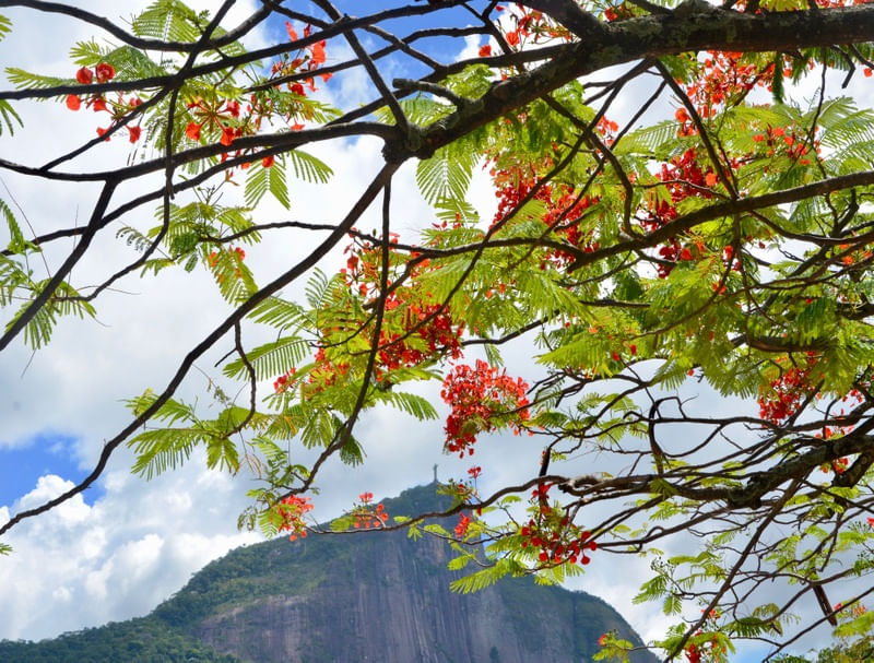 CRISTO VISTO DA LAGOA