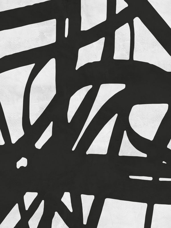 EXPRESSIONISMO PRETO E BRANCO I