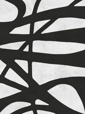 EXPRESSIONISMO PRETO E BRANCO II