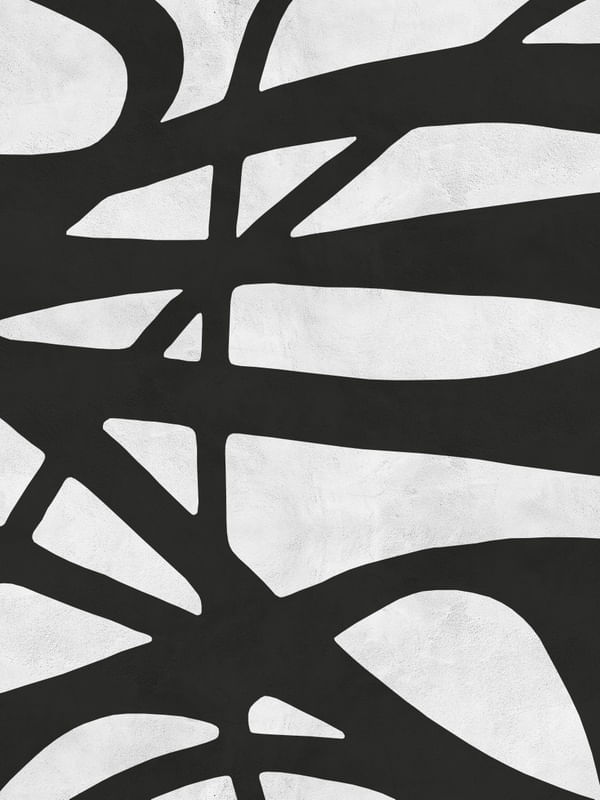 EXPRESSIONISMO PRETO E BRANCO II