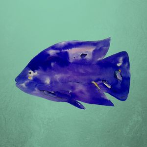 PEIXE I