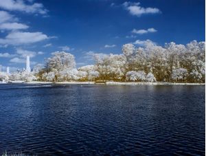 LAGO DO IBIRAPUERA