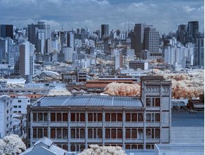 MOOCA E CENTRO