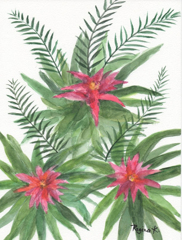 BROMÉLIAS E FOLHAGENS