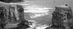 MURIWAI BEACH