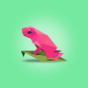 SAPO PINK E A FOLHA