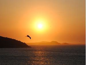 BÚZIOS PÔR DO SOL