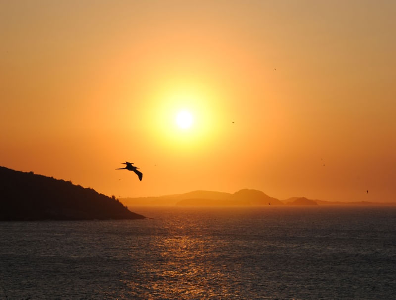 BÚZIOS PÔR DO SOL