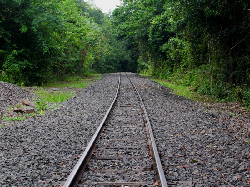 CAMINHOS DO TREM