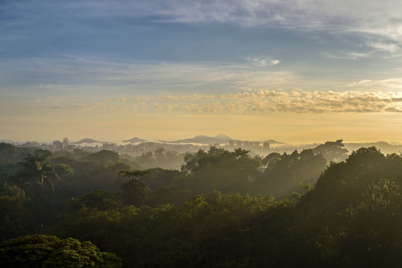 AMANHECER BH
