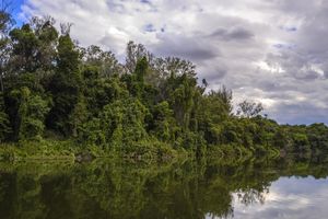 PAISAGEM REFLETIDA