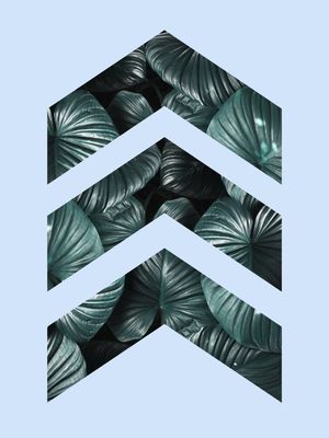FOLHAS E AZUL II
