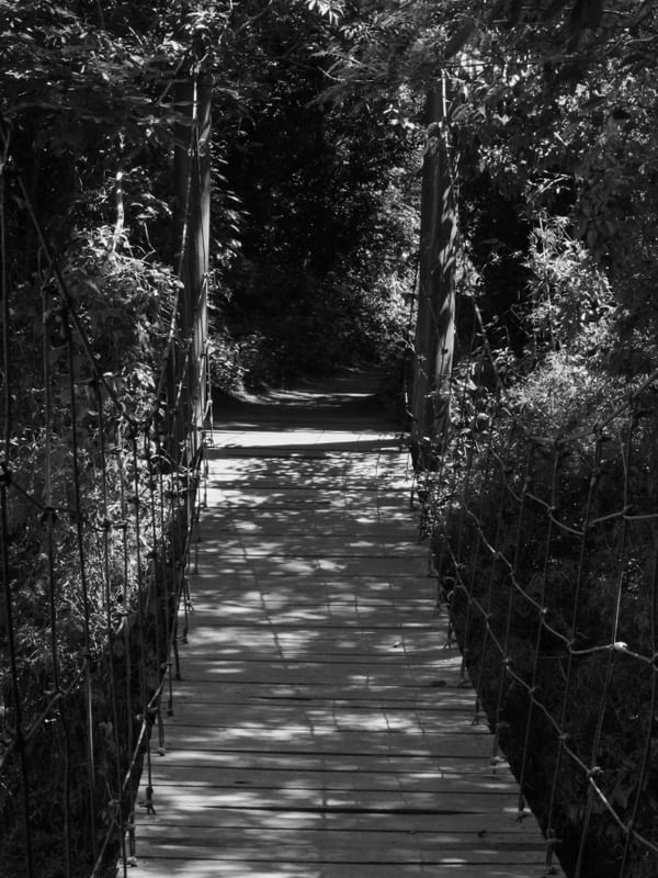 CAMINHOS E PONTES EM P&B