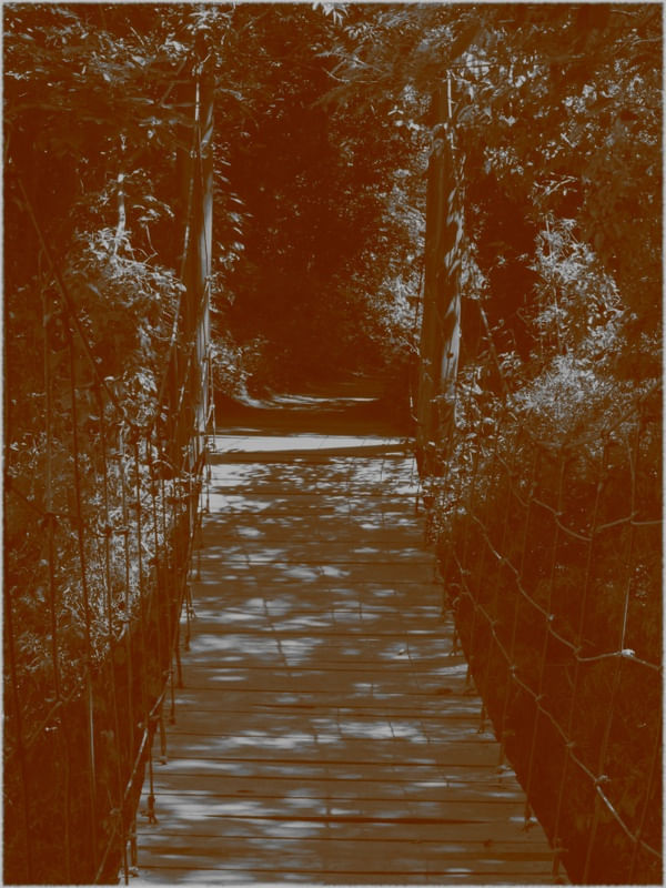 CAMINHO E PONTE EM SÉPIA